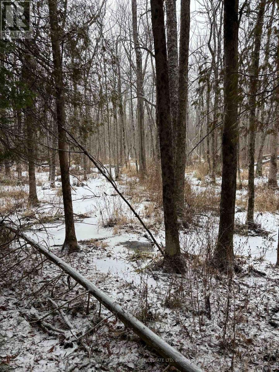 0 Wolford Centre Road, Merrickville-Wolford, Ontario  K0G 1N0 - Photo 6 - X12605320