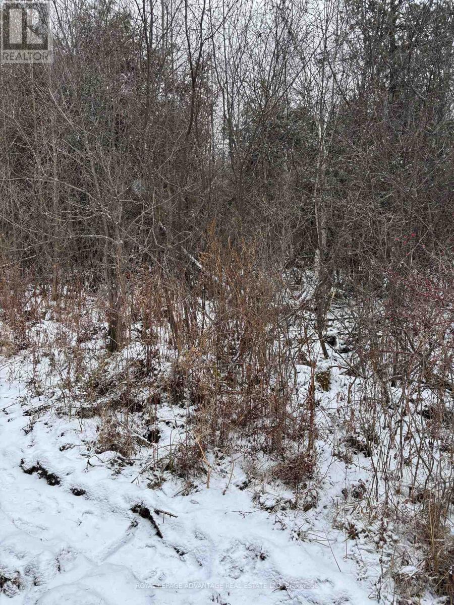 0 Wolford Centre Road, Merrickville-Wolford, Ontario  K0G 1N0 - Photo 7 - X12605320