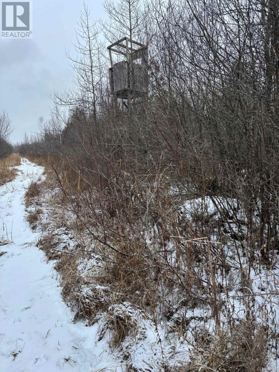 0 Wolford Centre Road, Merrickville-Wolford, Ontario  K0G 1N0 - Photo 8 - X12605320