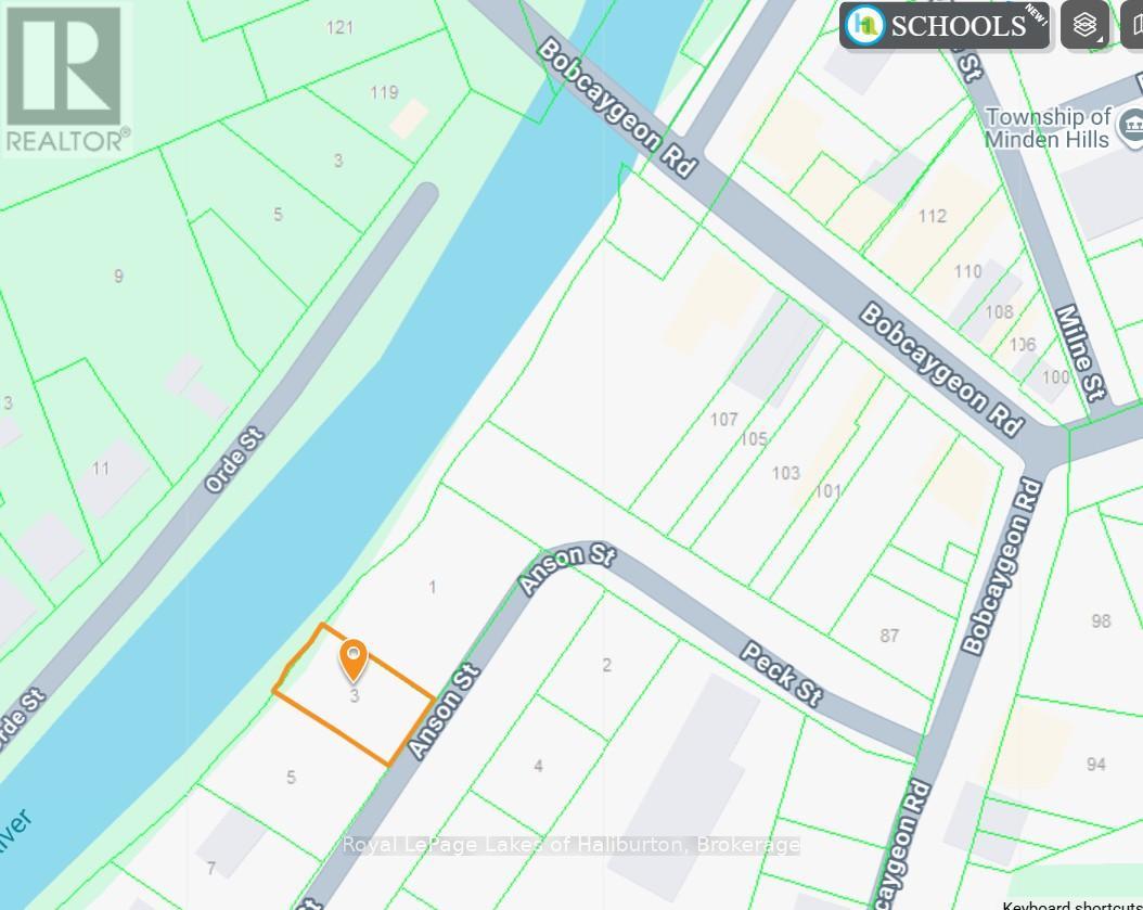 3 Anson Street, Minden Hills, Ontario K0M 2K0 - Photo 39 - X12605268
