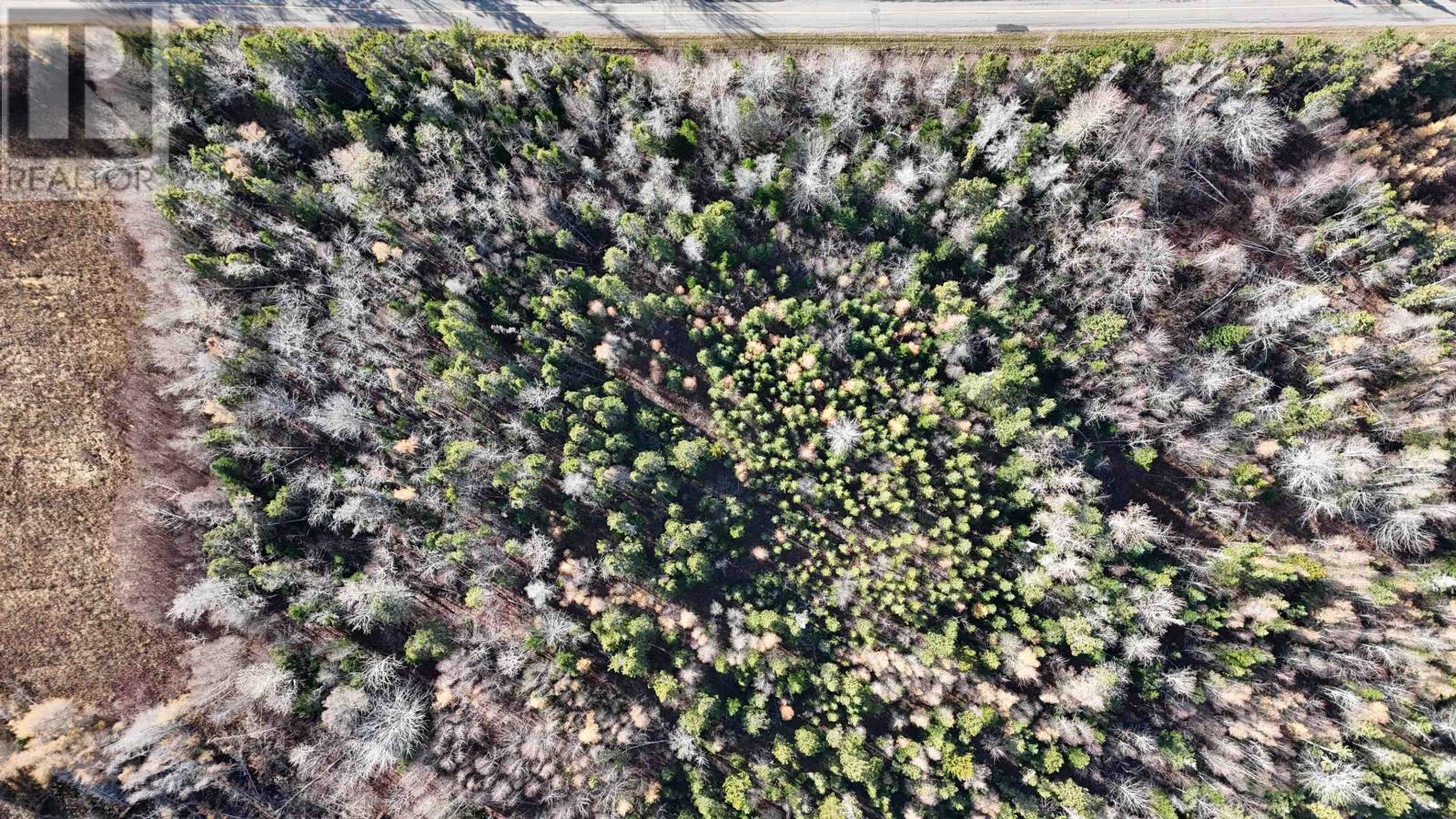 0 Richards Road, Abney, Prince Edward Island  C0A 1W0 - Photo 9 - 202529119