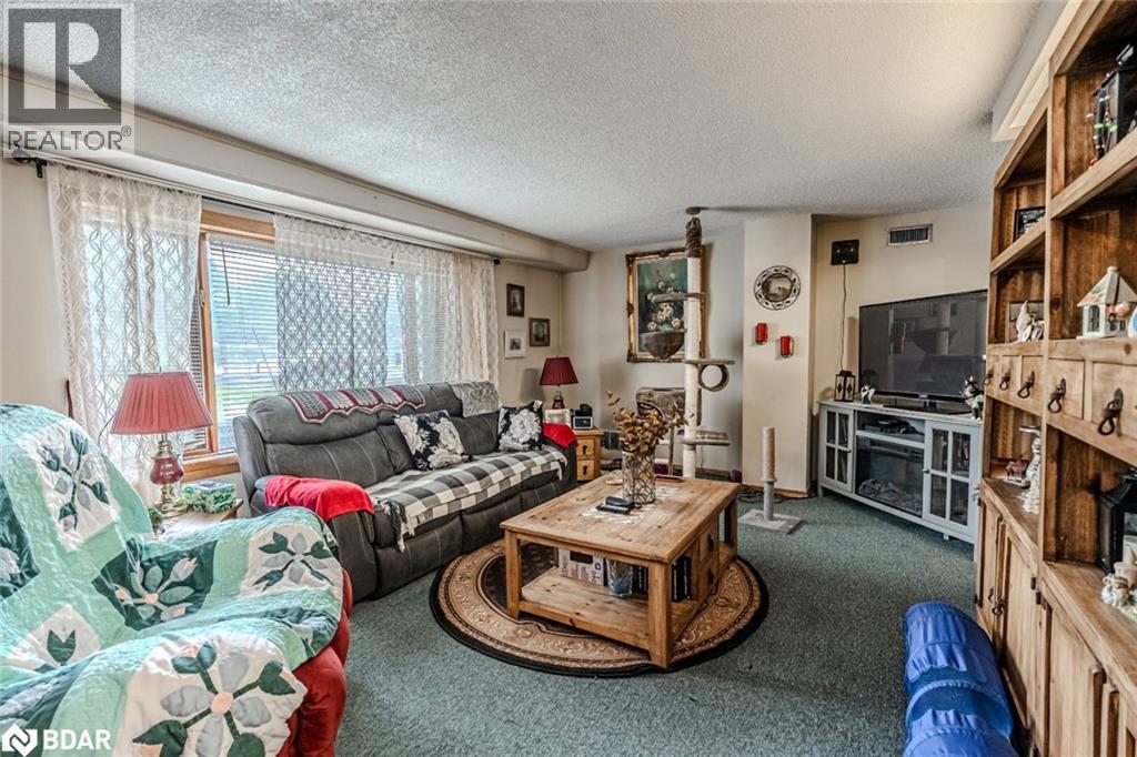 6134 County Road 13, Everett, Ontario  L0M 1J0 - Photo 2 - 40746570