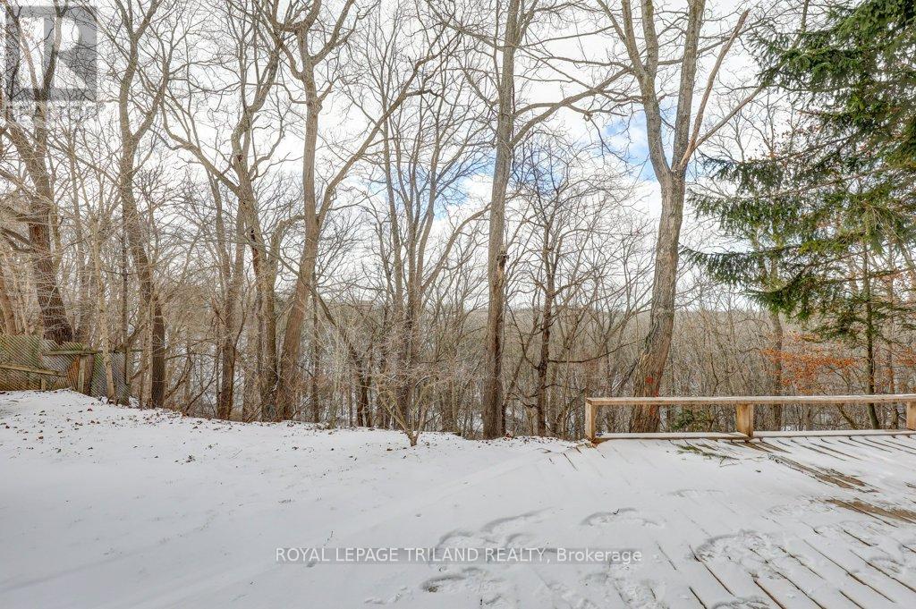 2 Elysian Street, St. Thomas, Ontario  N5P 1R4 - Photo 3 - X12605496