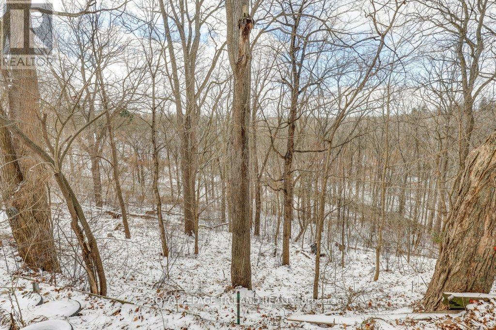 2 Elysian Street, St. Thomas, Ontario  N5P 1R4 - Photo 4 - X12605496