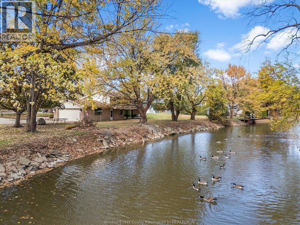 224 West Pike Creek, Lakeshore, Ontario  N8N 2L9 - Photo 3 - 25031251