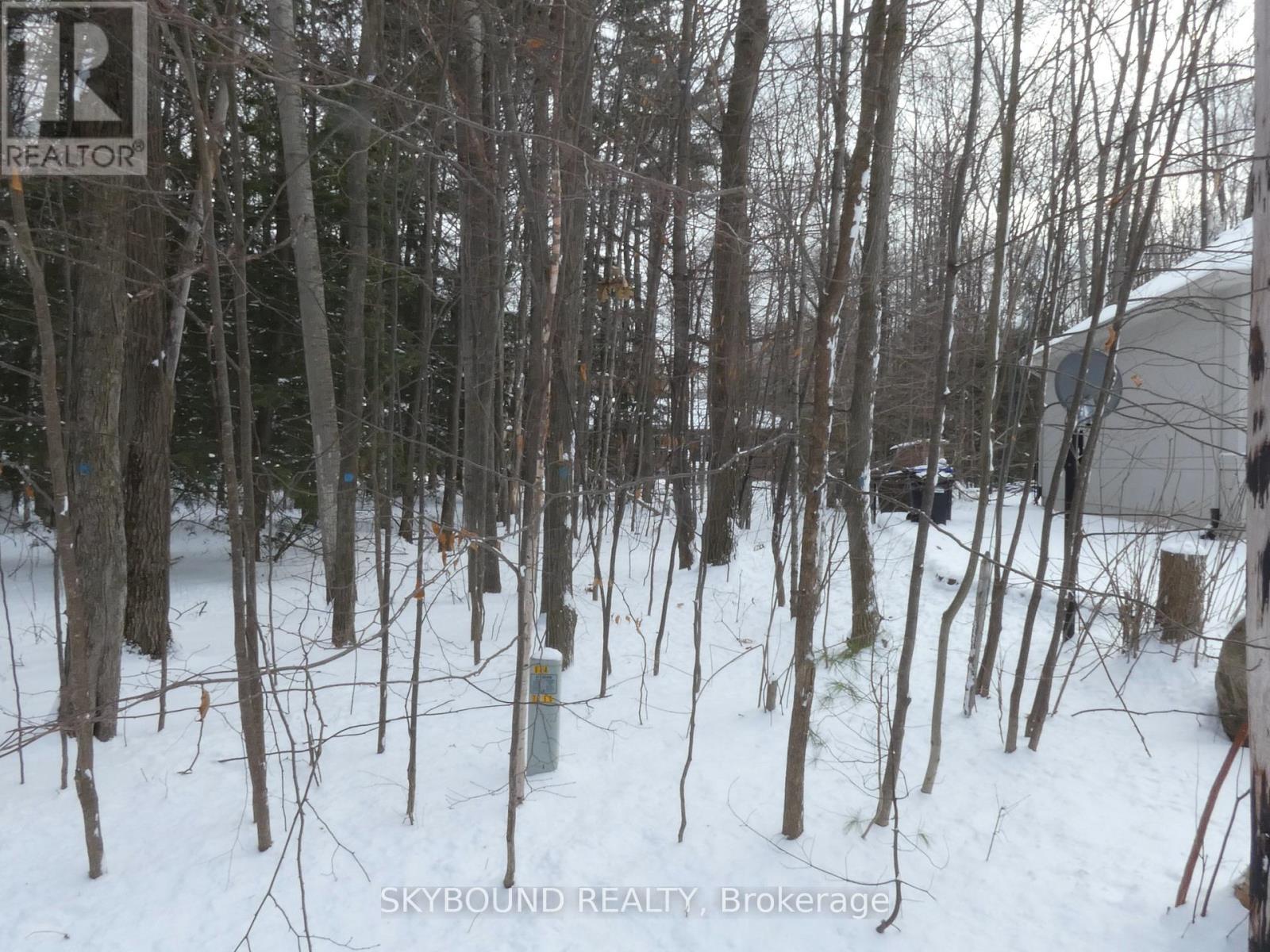 Lot 577 Forest Circle, Tiny, Ontario  L9M 1R3 - Photo 3 - S12603670