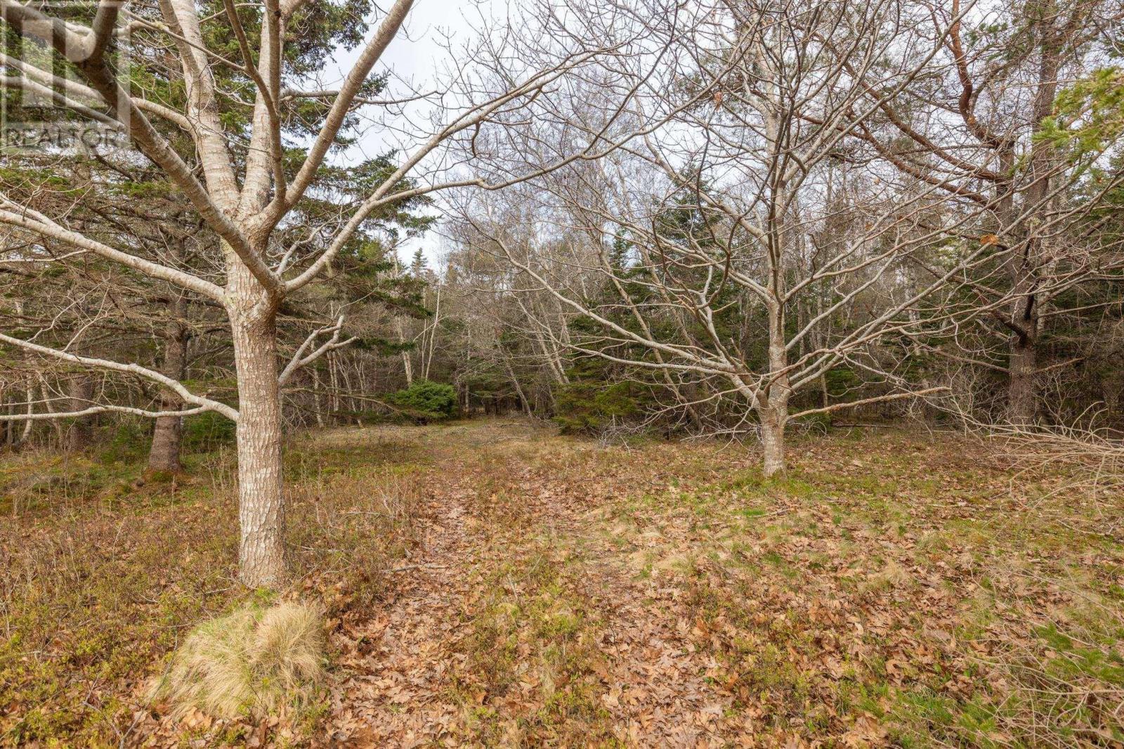 436 Rocco Point Road, Rocco Point, Nova Scotia  B0W 2X0 - Photo 30 - 202510613