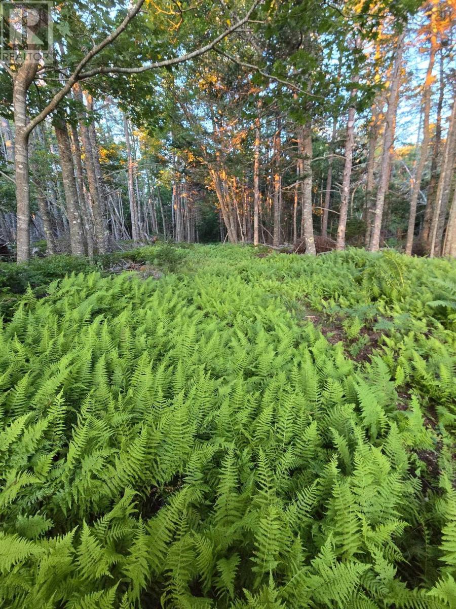 436 Rocco Point Road, Rocco Point, Nova Scotia  B0W 2X0 - Photo 44 - 202510613