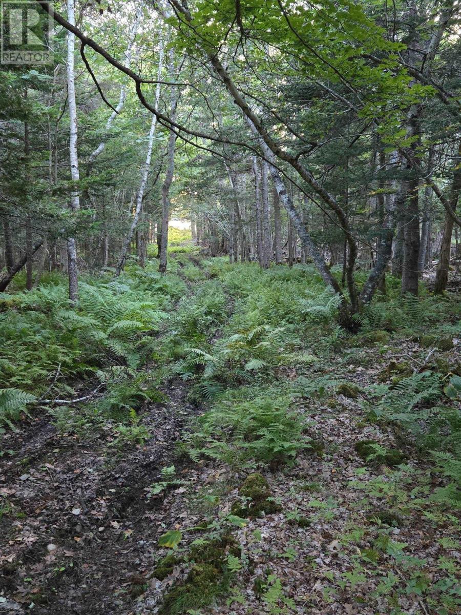 436 Rocco Point Road, Rocco Point, Nova Scotia  B0W 2X0 - Photo 45 - 202510616