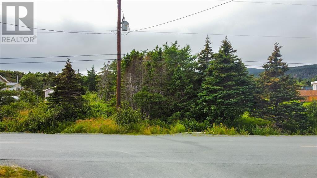 809-811 Main Road, Pouch Cove, Newfoundland & Labrador  A0A 3L0 - Photo 13 - 1293142