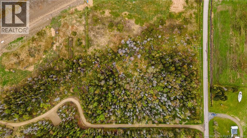 1.08hec Ch De La Tourbiere, Pokesudie, New Brunswick  E1W 5T7 - Photo 6 - NB131046