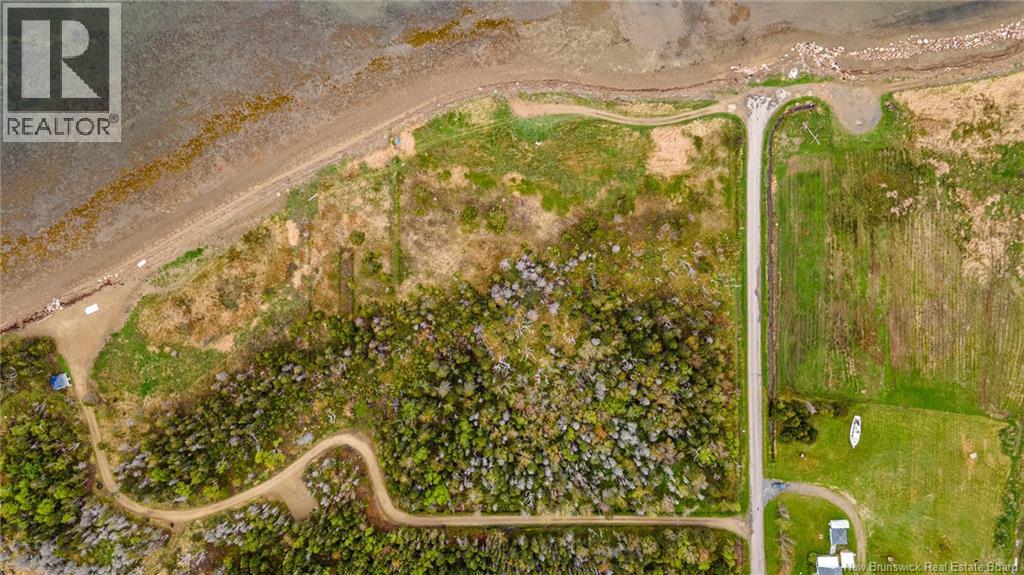 1.08hec Ch De La Tourbiere, Pokesudie, New Brunswick  E1W 5T7 - Photo 7 - NB131046
