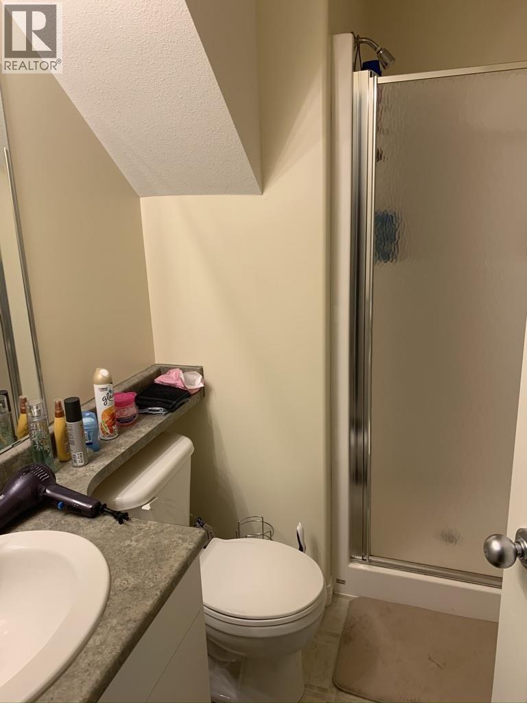 344 Mandarino Place, Williams Lake, British Columbia  V2G 5J1 - Photo 24 - R3071754