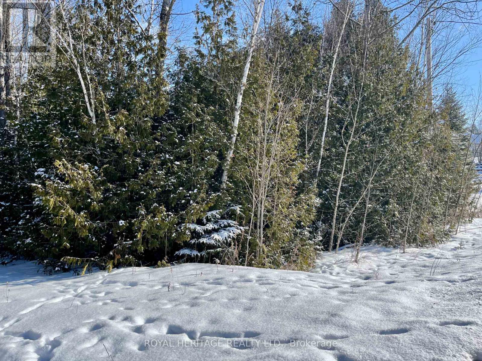 0 Sumcot Drive, Trent Lakes, Ontario  K9J 6X2 - Photo 2 - X12605618