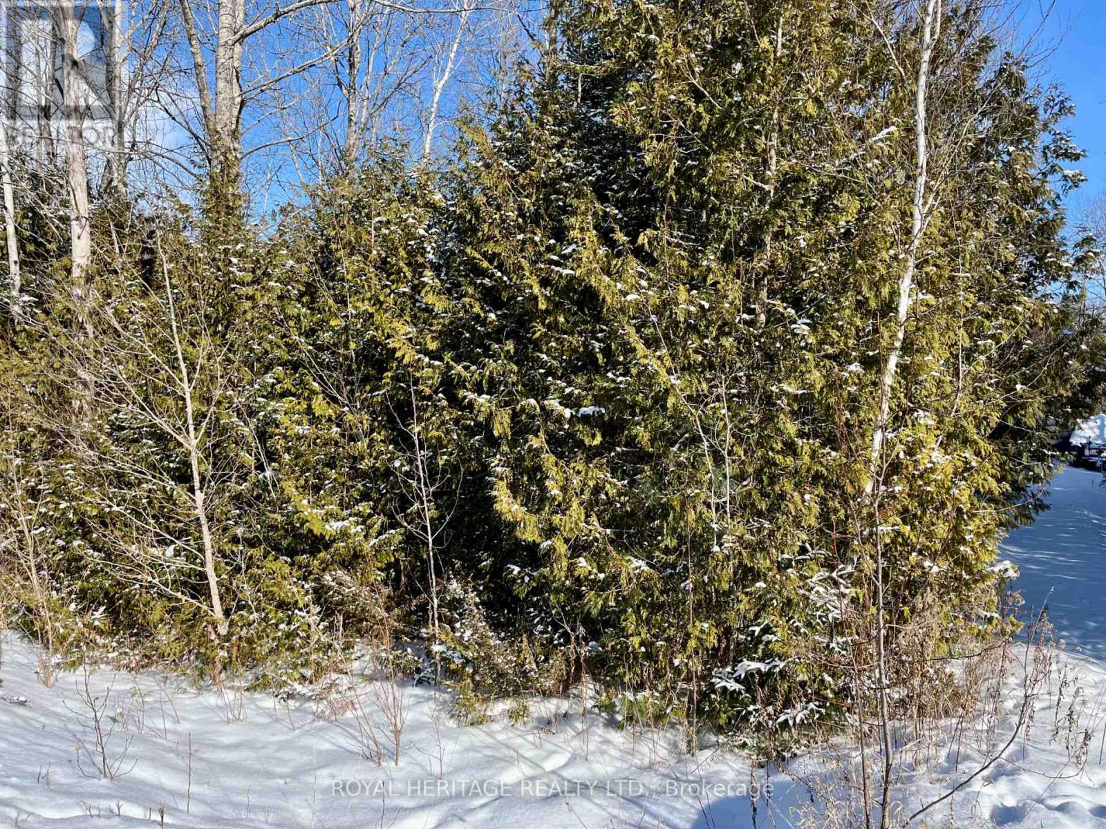 0 Sumcot Drive, Trent Lakes, Ontario  K9J 6X2 - Photo 3 - X12605618