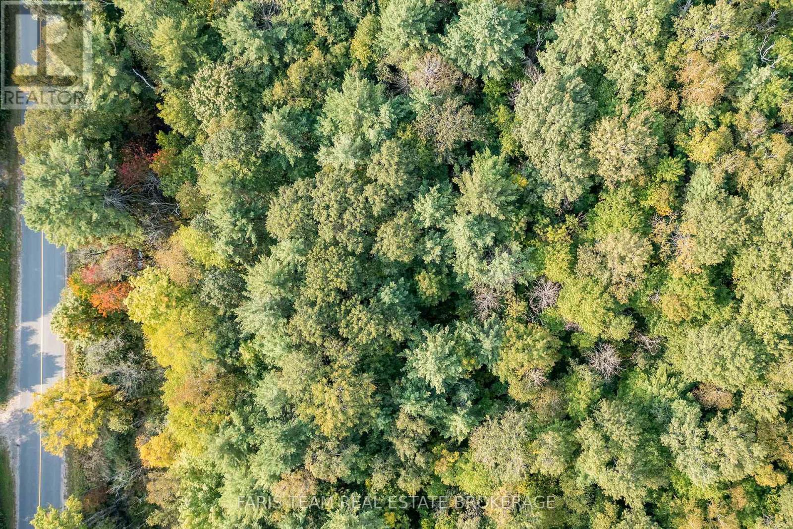 Pt Lt 3 Housey's Rapids Road, Kawartha Lakes, Ontario  L0K 2B0 - Photo 3 - X12324589