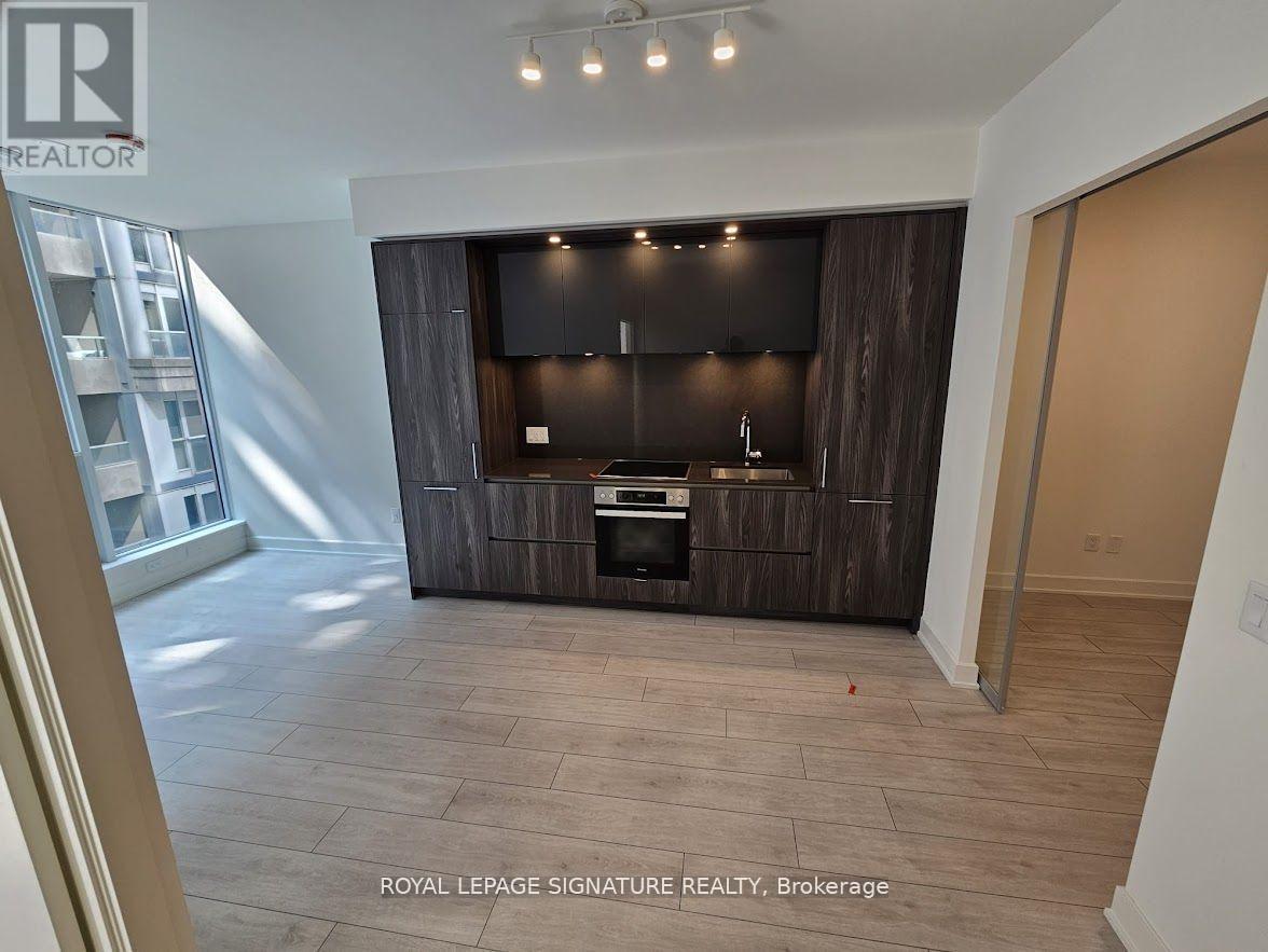 511 - 15 Mercer Street, Toronto, Ontario  M5V 1H2 - Photo 2 - C12605604