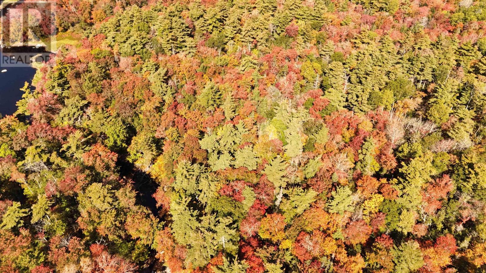 Lot Br-3 Bowers Road, Lower Ohio, Nova Scotia  B0T 1W0 - Photo 3 - 202529098