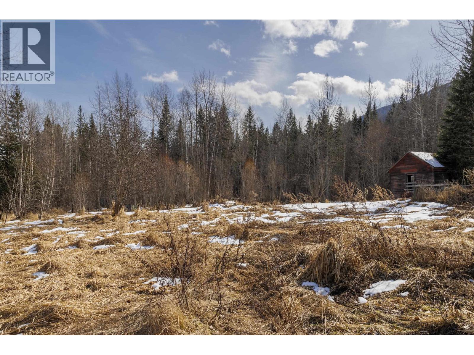 9509 Dunster-Croydon Road, Dunster, British Columbia  V0J 1J0 - Photo 15 - R3072452