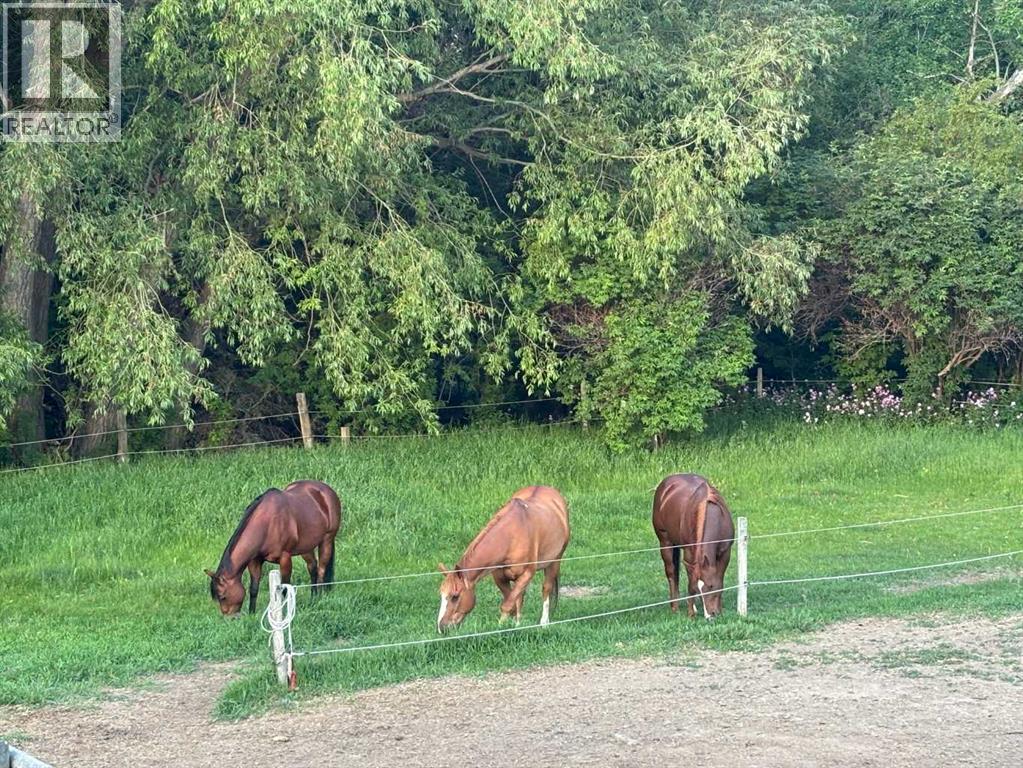 103004 Rr 24-0, Monarch, Alberta  T0L 1M0 - Photo 48 - A2265691