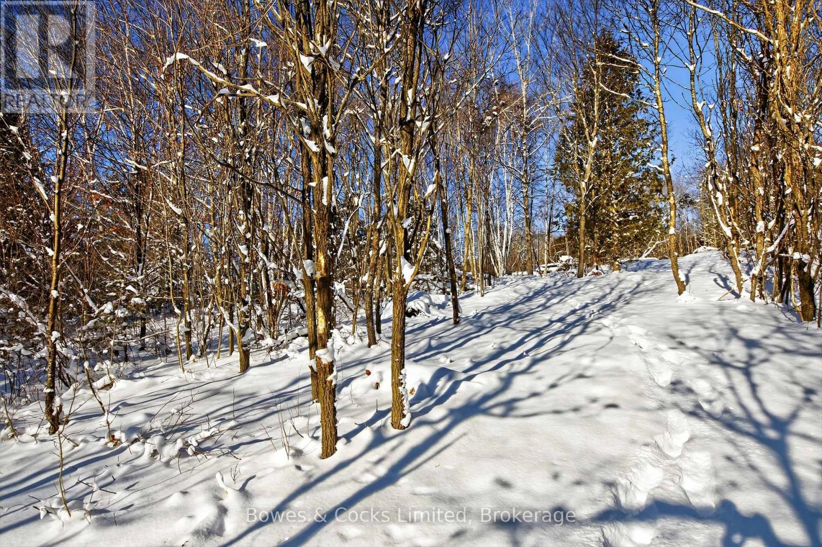 1350 Madill Road, Highlands East, Ontario  K0L 2Y0 - Photo 25 - X12606290