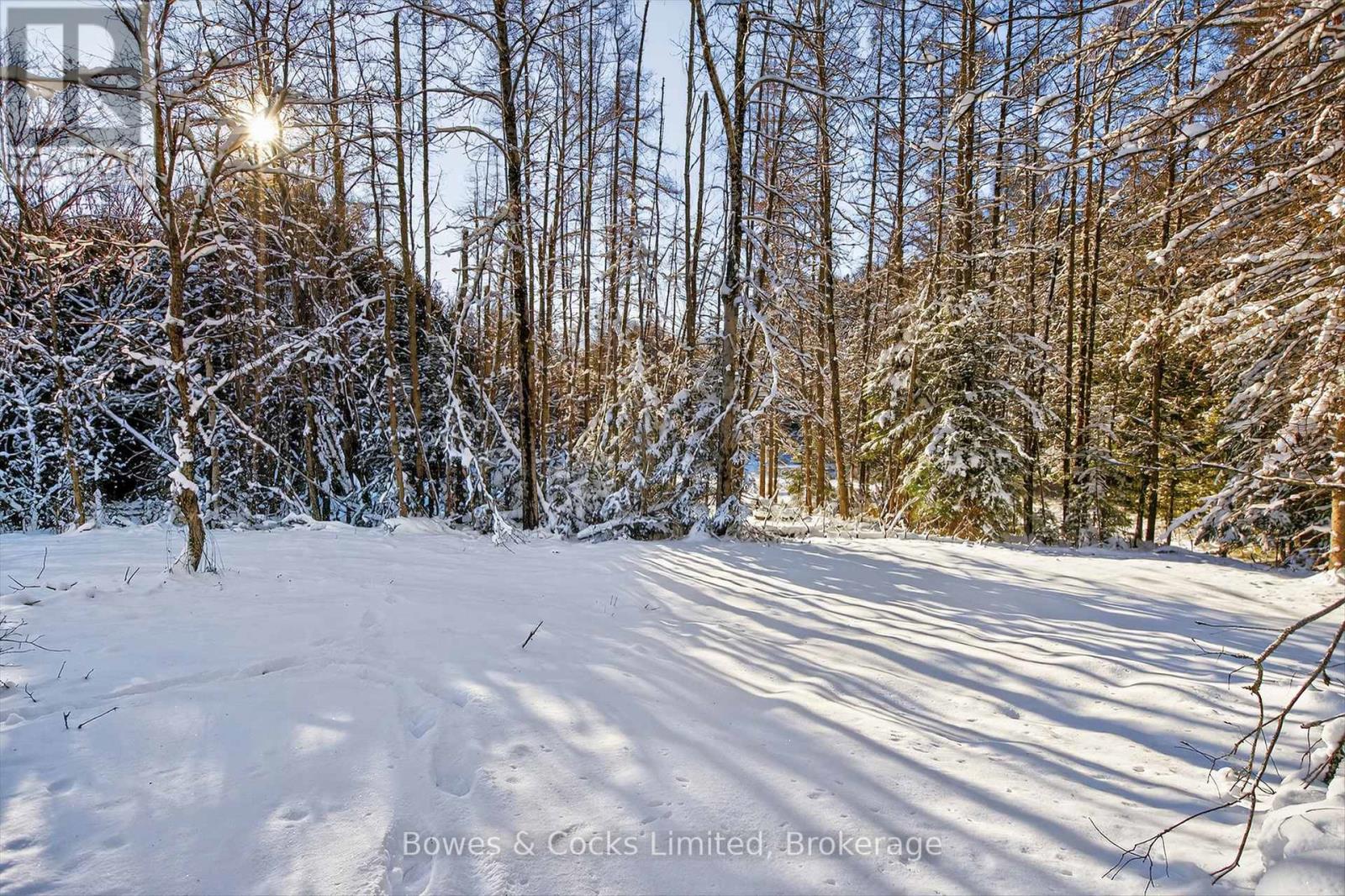 1350 Madill Road, Highlands East, Ontario  K0L 2Y0 - Photo 27 - X12606290