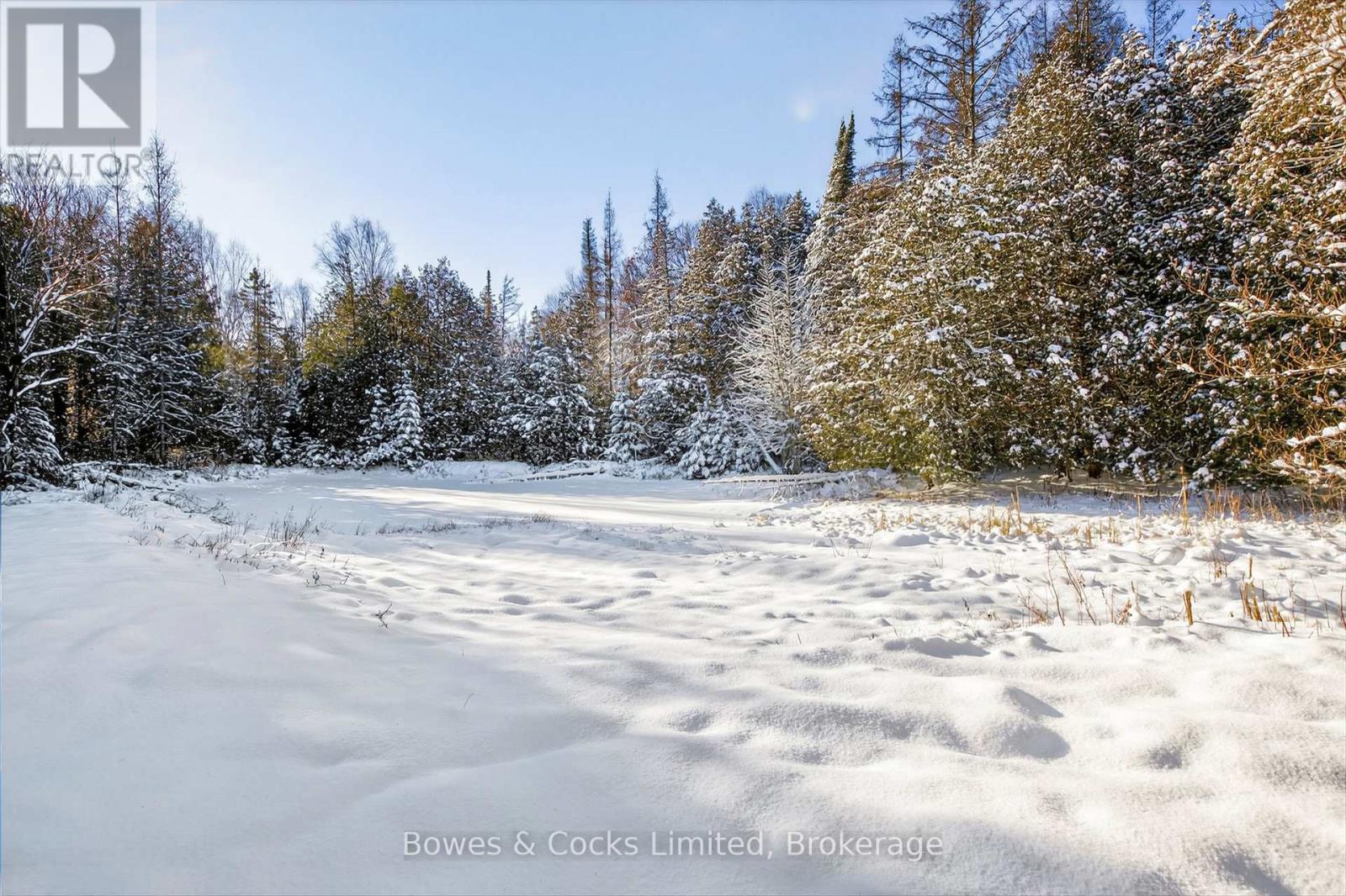 1350 Madill Road, Highlands East, Ontario  K0L 2Y0 - Photo 28 - X12606290