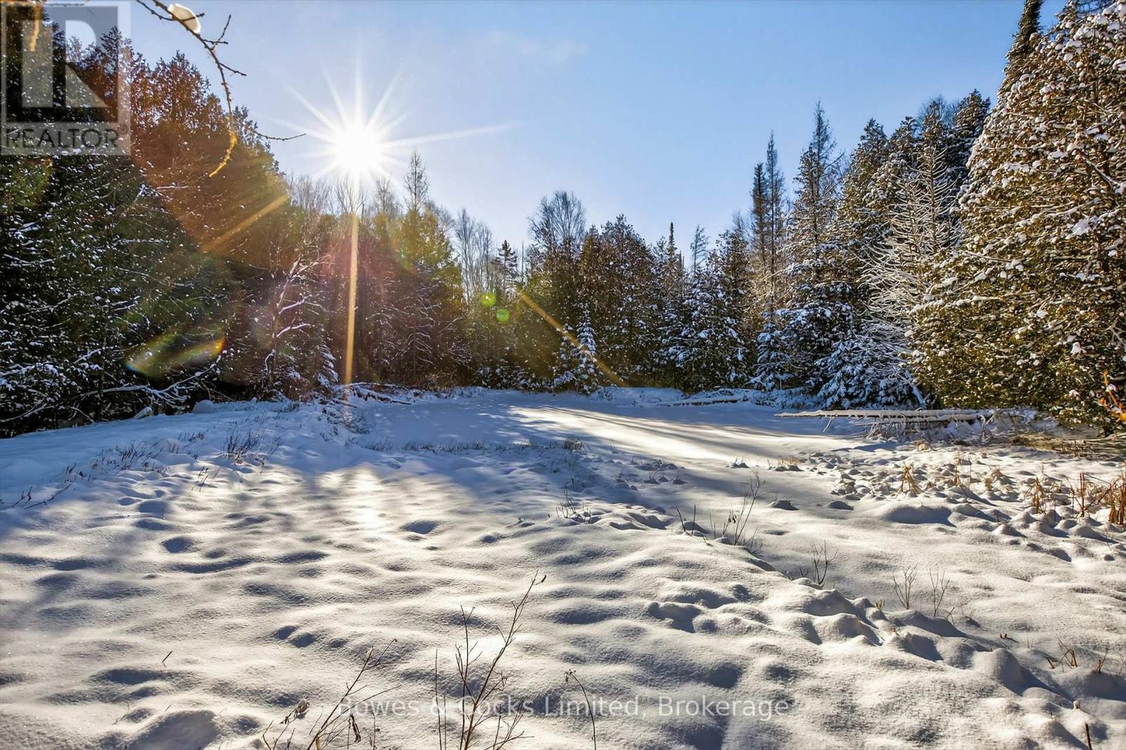 1350 Madill Road, Highlands East, Ontario  K0L 2Y0 - Photo 29 - X12606290