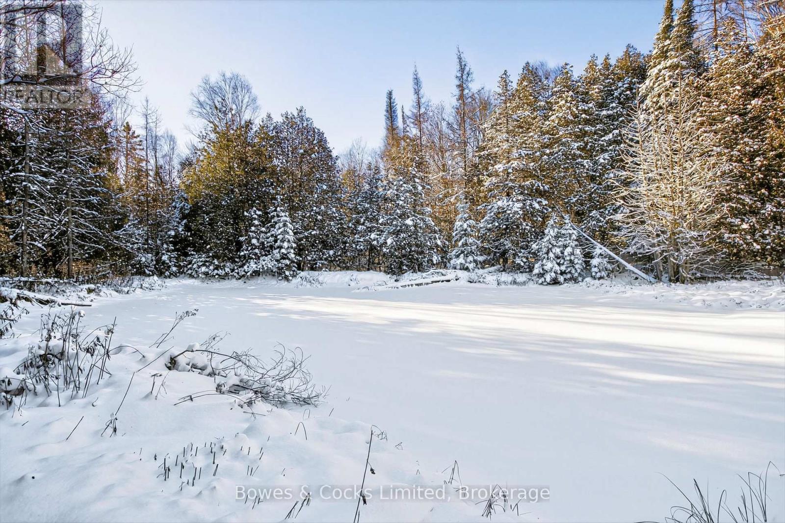 1350 Madill Road, Highlands East, Ontario  K0L 2Y0 - Photo 30 - X12606290