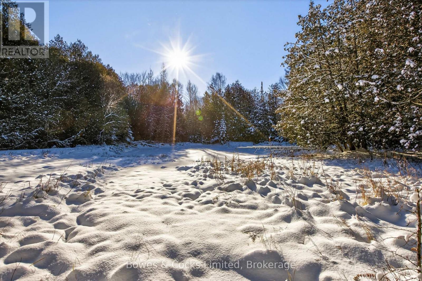 1350 Madill Road, Highlands East, Ontario  K0L 2Y0 - Photo 31 - X12606290