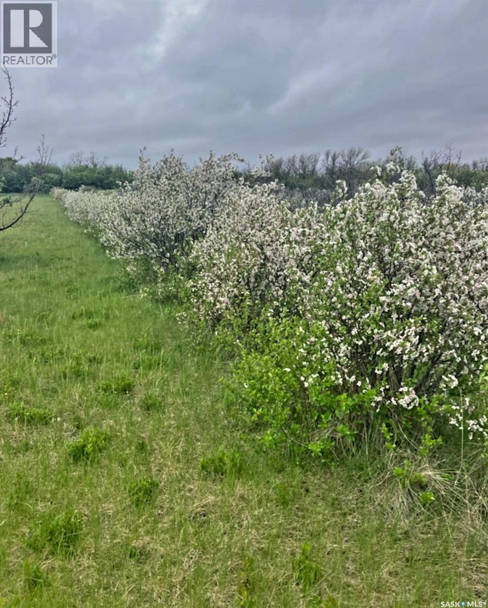 Mcleod Acreage, Miry Creek Rm No. 229, Saskatchewan  S0N 0A0 - Photo 10 - SK025277