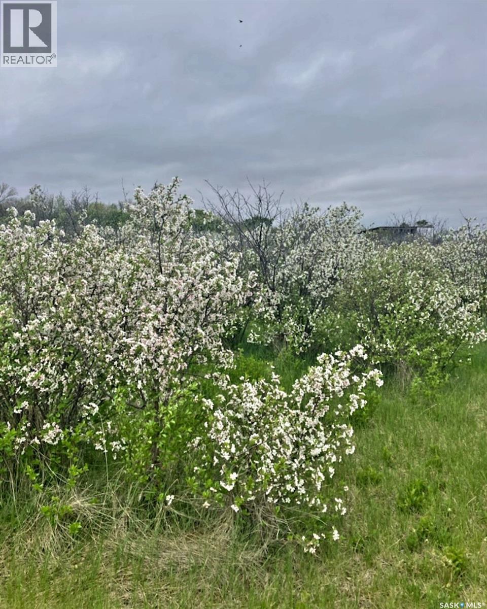 Mcleod Acreage, Miry Creek Rm No. 229, Saskatchewan  S0N 0A0 - Photo 9 - SK025277