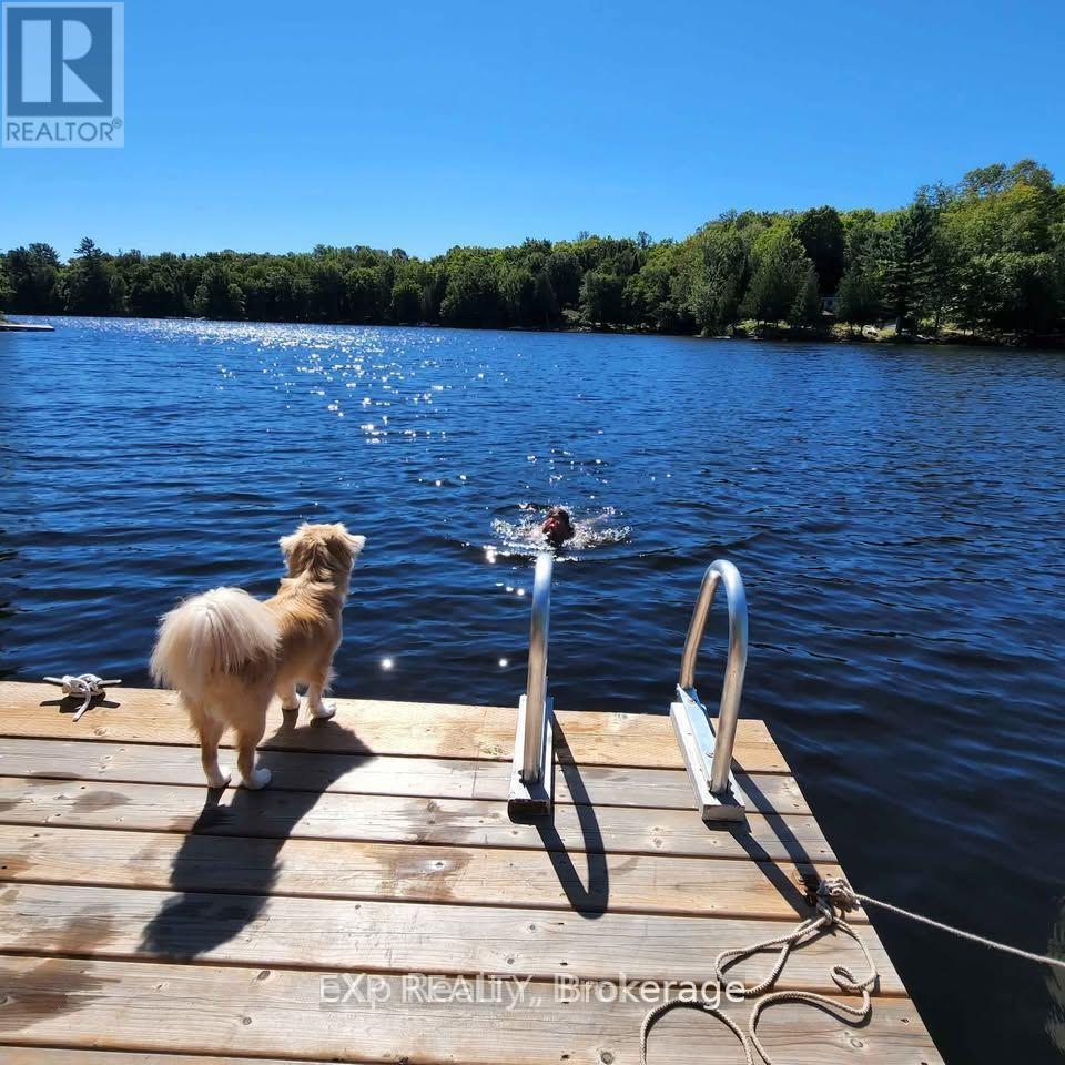 9 North Poverty Bay Road, Magnetawan, Ontario  P0A 1P0 - Photo 3 - X12606334