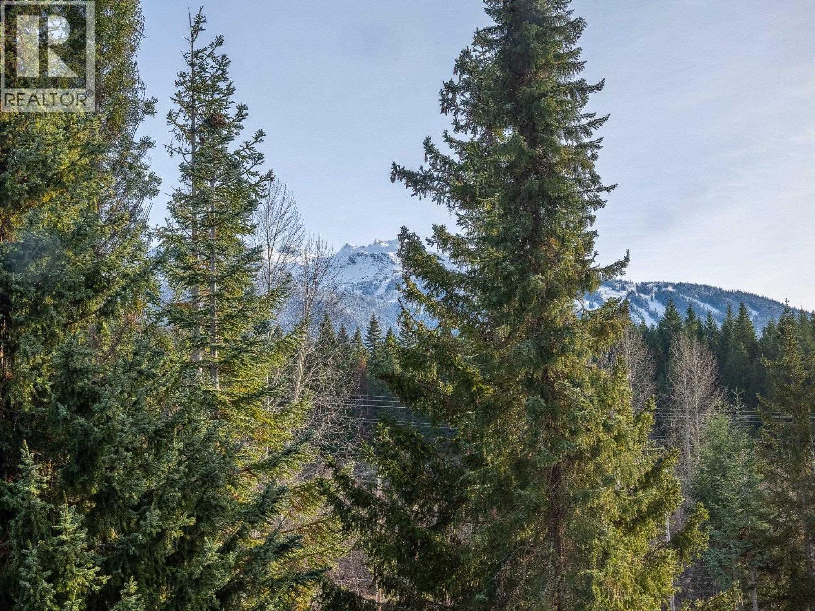 207 8080 Nicklaus North Boulevard, Whistler, British Columbia V8E 1J7 - Photo 21 - R3030781