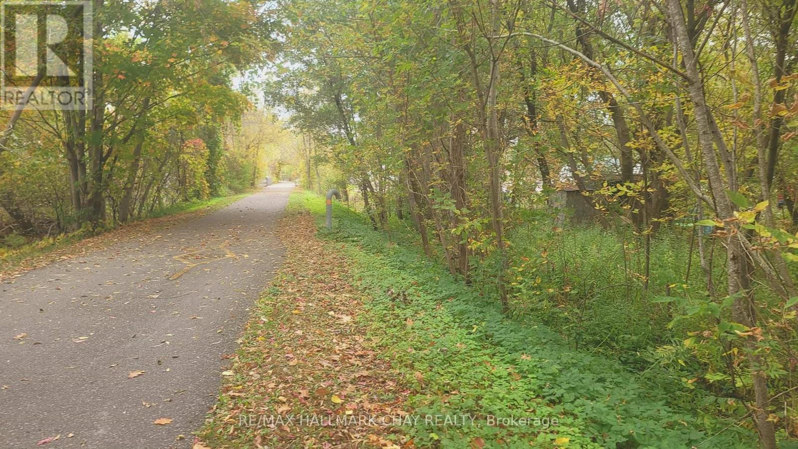 14189 12 Highway, Tay, Ontario  L0K 2C0 - Photo 2 - S12476953