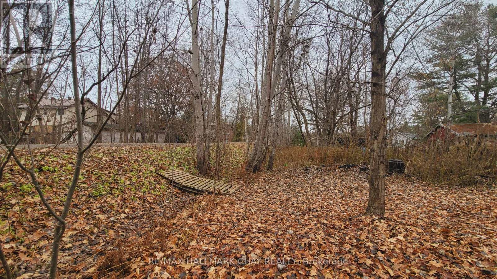 14189 12 Highway, Tay, Ontario  L0K 2C0 - Photo 22 - S12476953