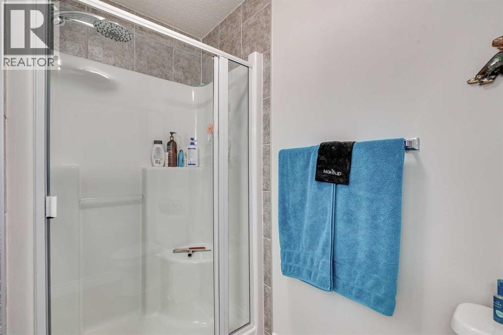 123 Springmere Place, Chestermere, Alberta  T1X 1J2 - Photo 34 - A2269339