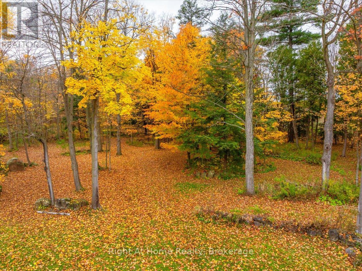 9658 Second Line, Milton, Ontario  L0P 1B0 - Photo 19 - W12596604