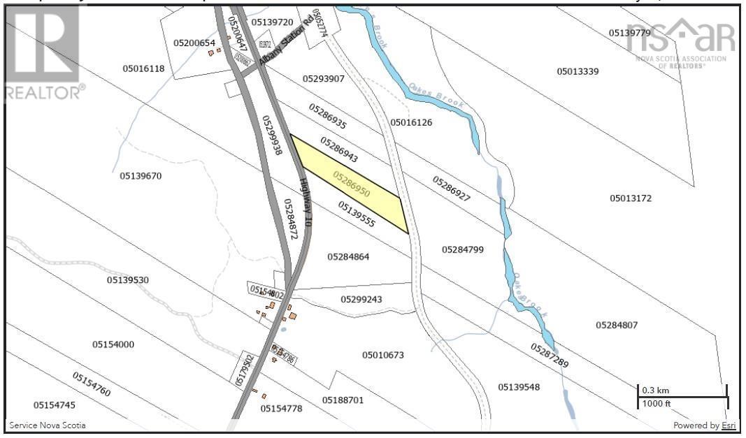 Lot 3 Highway 10, Albany, Nova Scotia  B0S 1P0 - Photo 12 - 202512140