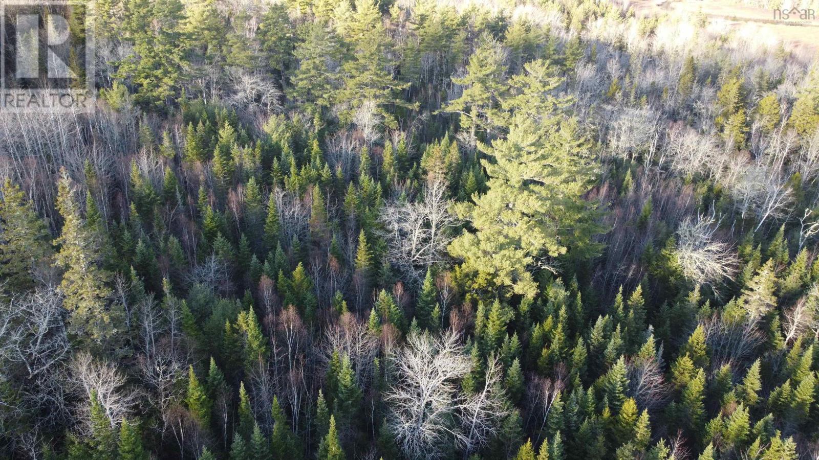 Lot 3 Highway 10, Albany, Nova Scotia  B0S 1P0 - Photo 2 - 202512140