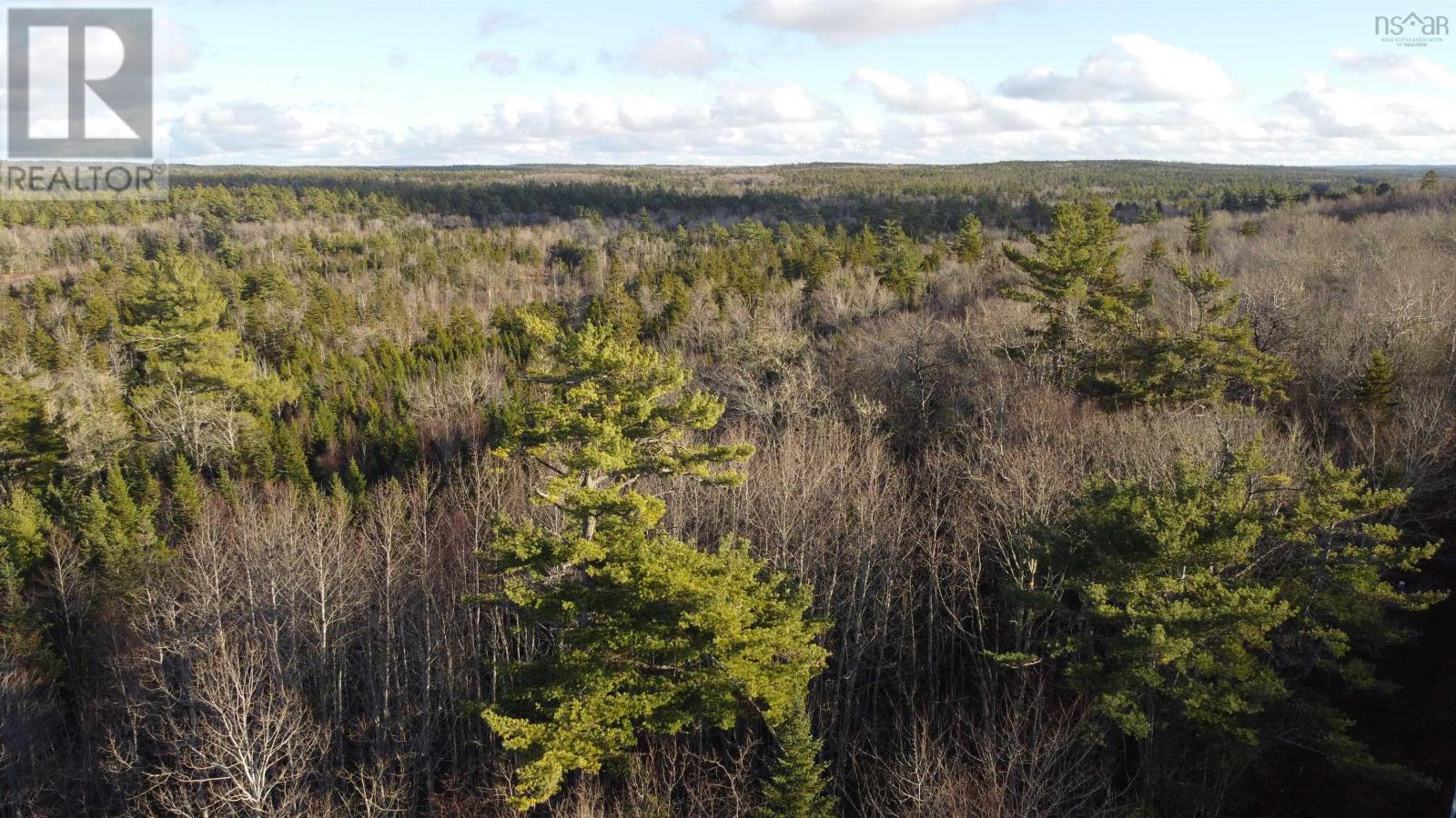 Lot 3 Highway 10, Albany, Nova Scotia  B0S 1P0 - Photo 9 - 202512140