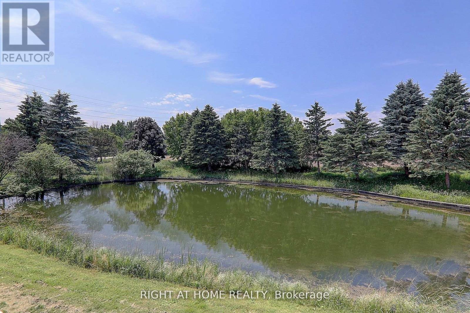 1008 Mount Albert Road, East Gwillimbury, Ontario L0G 1V0 - Photo 35 - N12606852