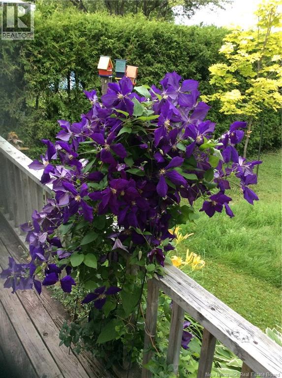 845 O'neil Avenue, Bathurst, New Brunswick E2A 2L2 - Photo 44 - NB125996