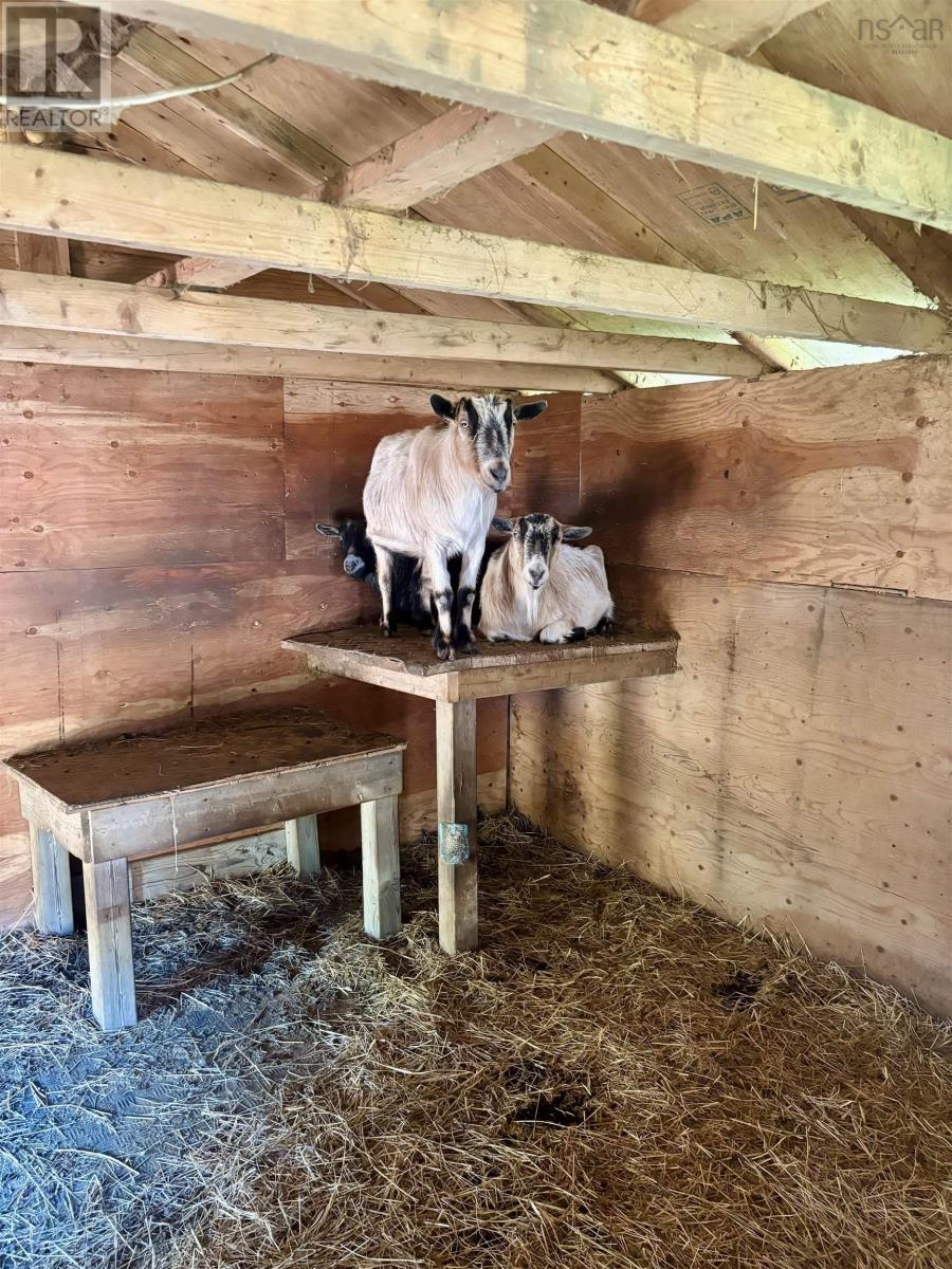 1445 Crandall Road, Sugar Camp, Nova Scotia  B9A 1T7 - Photo 5 - 202514428