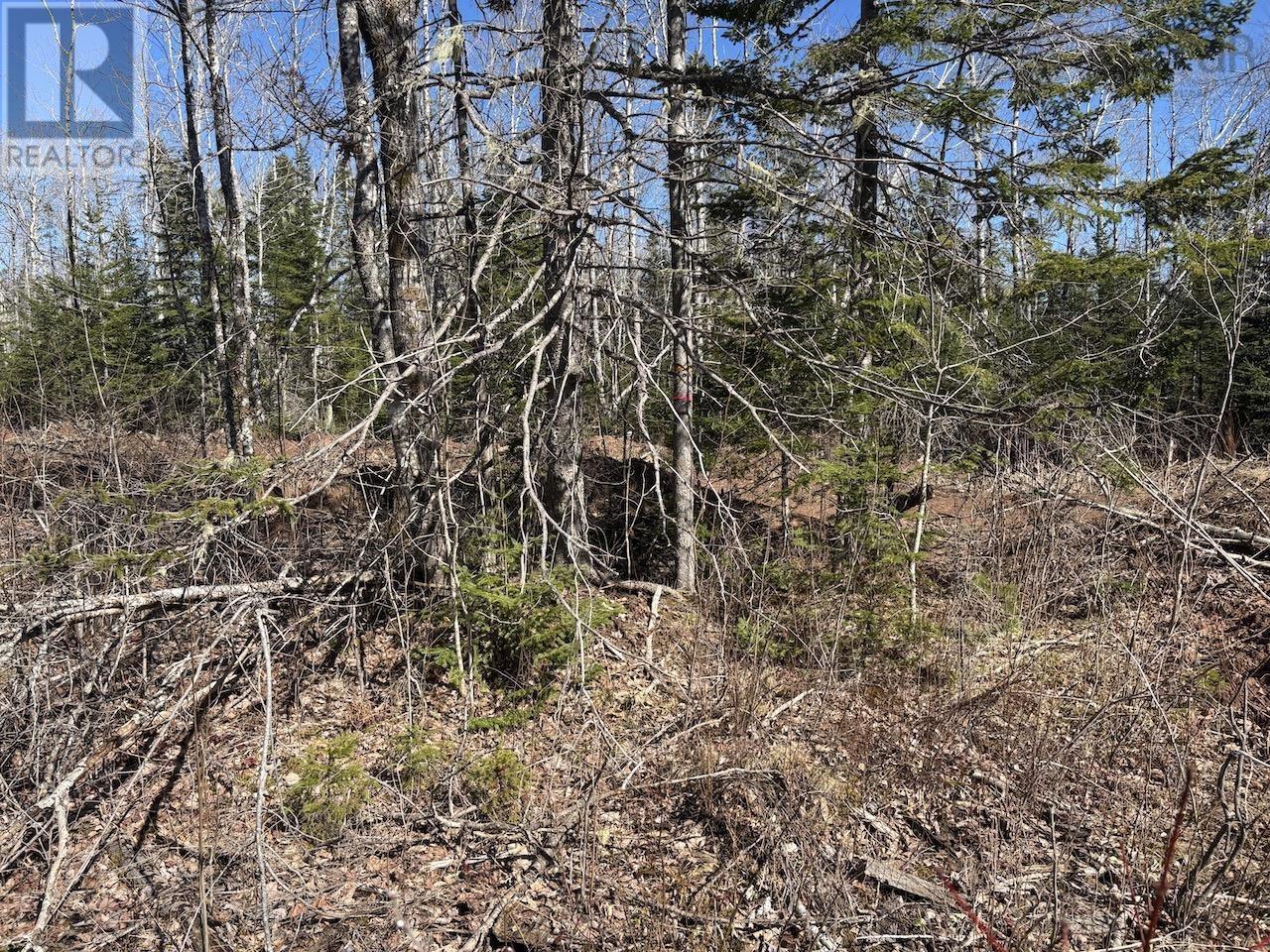 Black Lake, No 104 Highway, Black Lake, Nova Scotia  B0M 1X0 - Photo 2 - 202507659