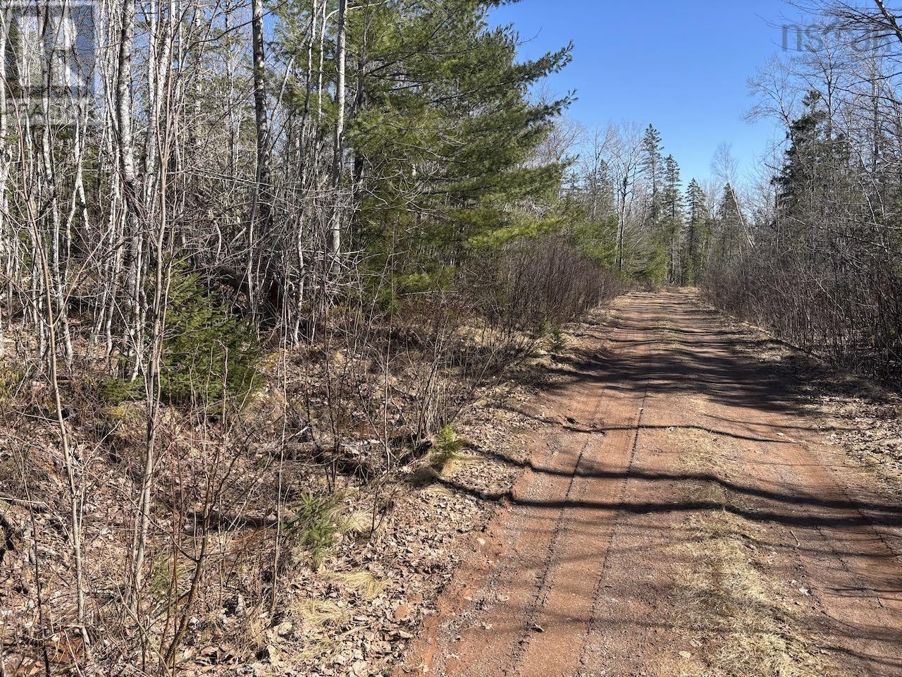 Black Lake, No 104 Highway, Black Lake, Nova Scotia  B0M 1X0 - Photo 7 - 202507659