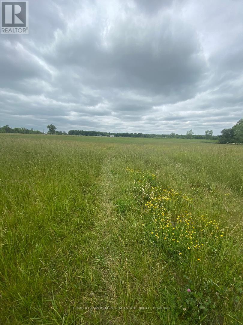 5320 Netherby Road E, Port Colborne, Ontario  L3B 5N7 - Photo 5 - X12606970