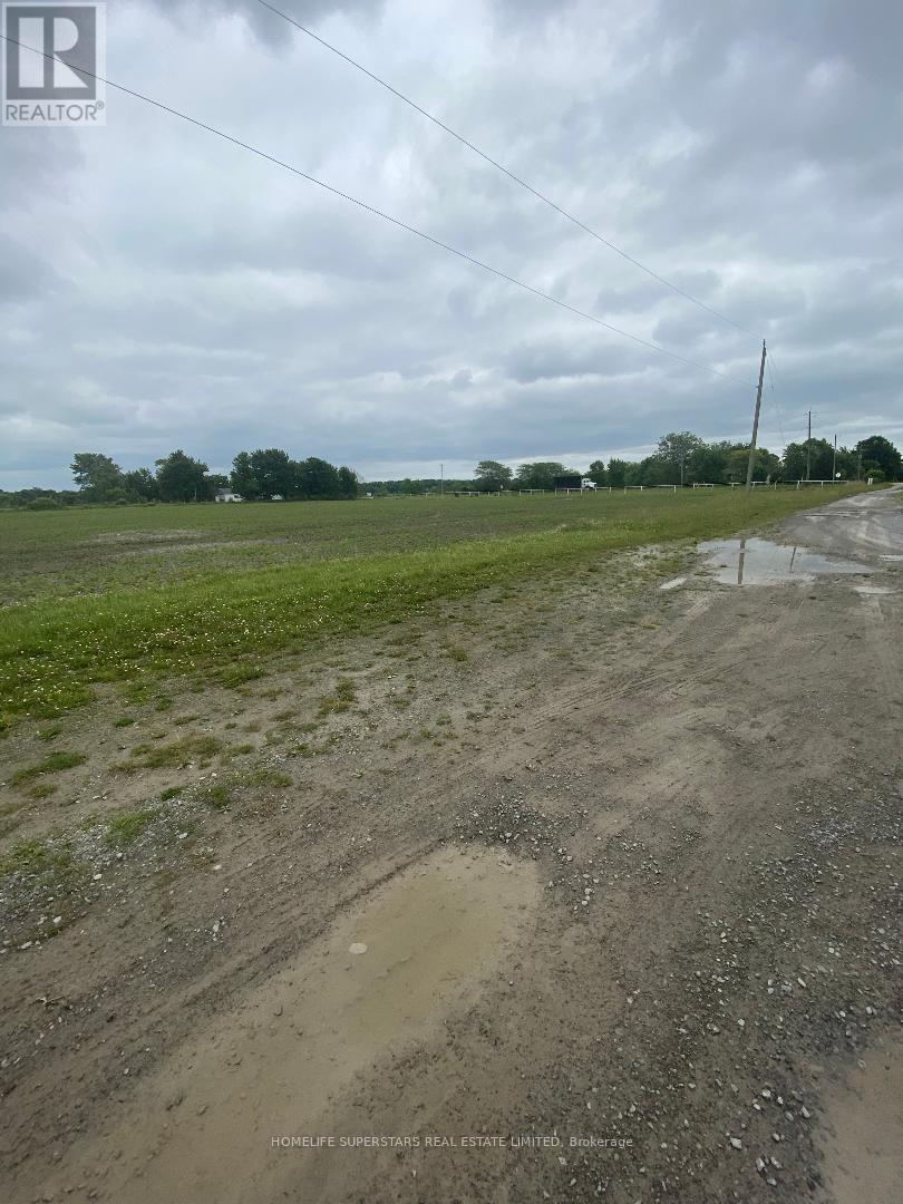 5320 Netherby Road E, Port Colborne, Ontario  L3B 5N7 - Photo 7 - X12606970