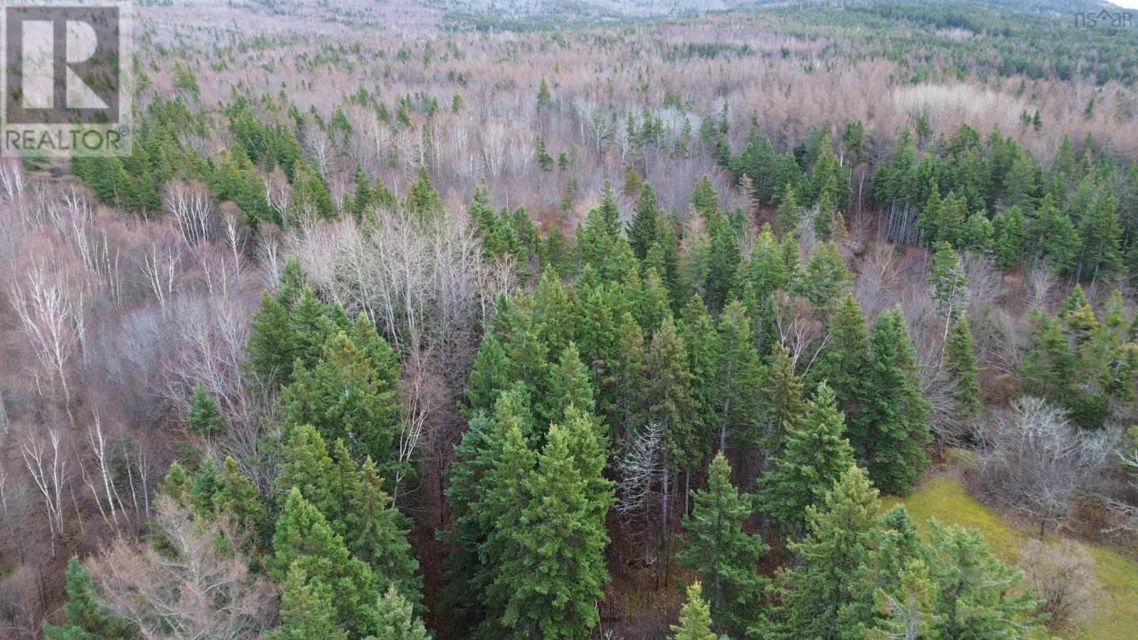 4 5049 (P) Road, Long Point, Nova Scotia  B9A 1P3 - Photo 11 - 202521261