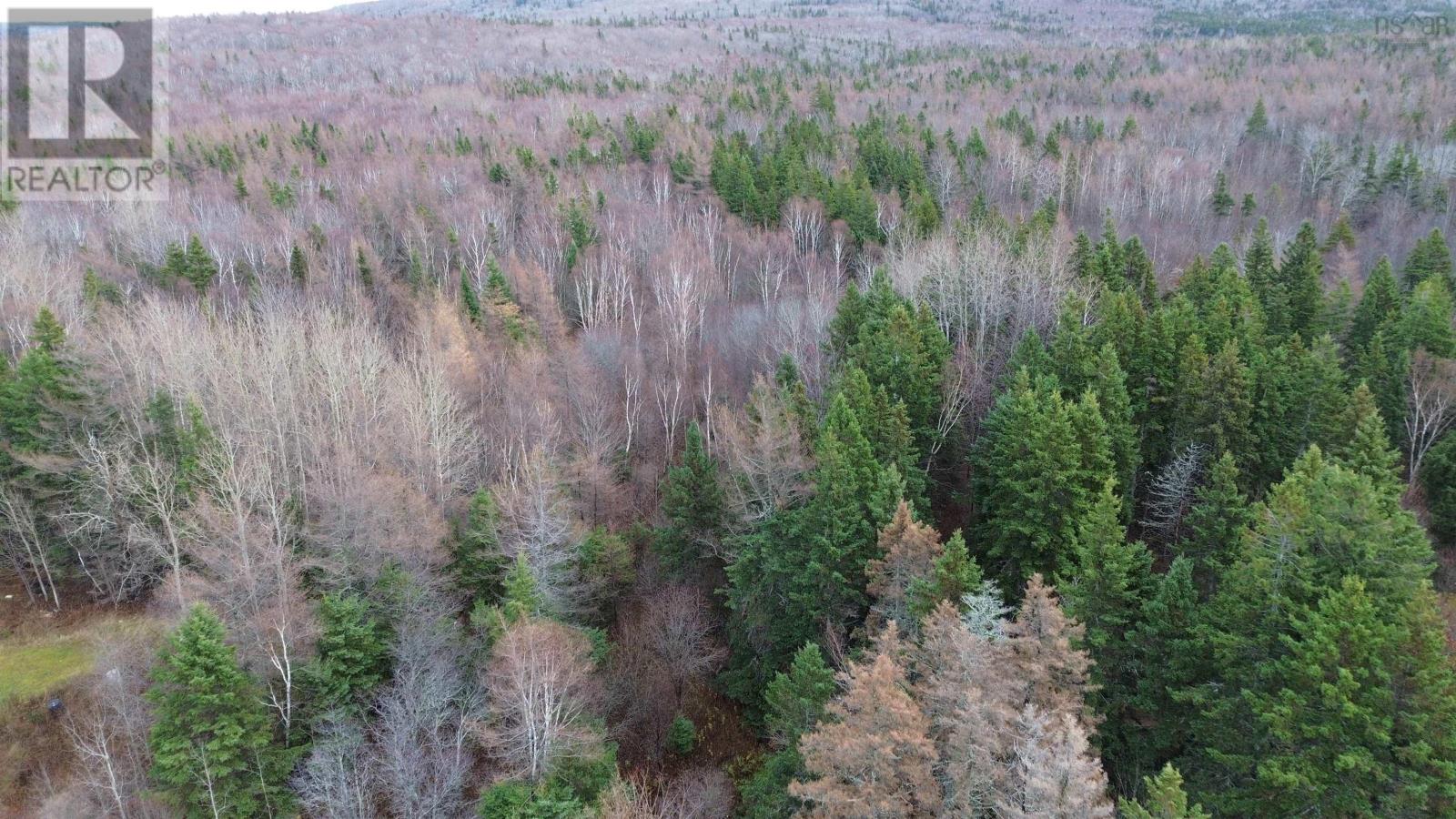 4 5049 (P) Road, Long Point, Nova Scotia  B9A 1P3 - Photo 10 - 202521261